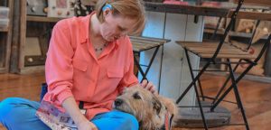 Nonprofit provides snuggles to those in need