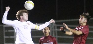 Tigers fall to Lions 3-2