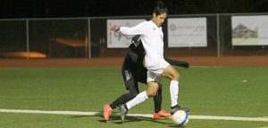 Tigers stomp Panthers in late surge