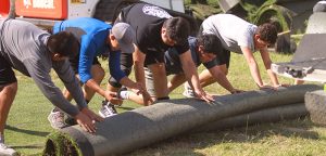 New turf for Lobo Field