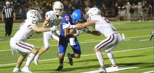 Tiger grab spoils Hays’ homecoming