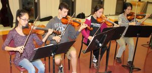 DSISD to explore orchestral program