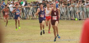 Tiger runner sprints into history books