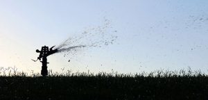 Grass to be installed at district’s new ball fields instead of turf