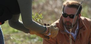 County OKs Blanco River reforestation by split vote