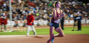 Seven Tigers compete at state track