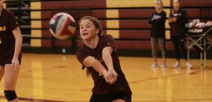 Earning their stripes  Tigers seek return to state in 2019