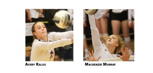 Tiger volleyball takes 6th in Turner Classic