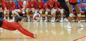 Rebs roll past Lobos in three
