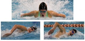 Tigers dive into state swim meet