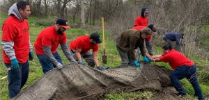 Plum Creek Cleanup