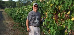 Vineyards say regs unfair to business, despite outside venue