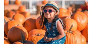 Texas Pumpkin Facts