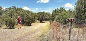 Trail improvements: Wimberley parks department awarded $273.9k grant