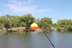 Fish On: Young Buda anglers compete in derby