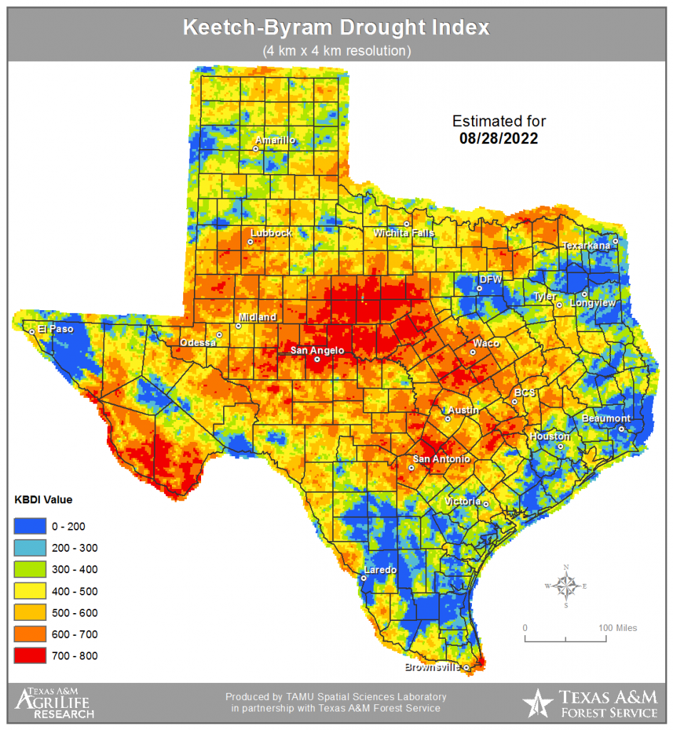 Hays County still under burn ban, despite rainfall