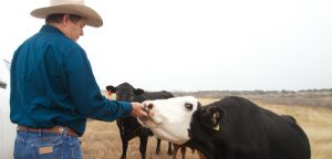 Murky future for local farming, ranching industry