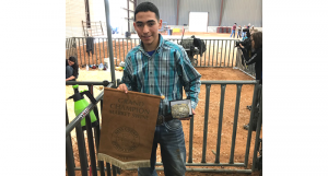 Patience drives success for local Livestock Show champion