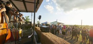 Sowing the seeds of success: Annual festival raises awareness for local farmers