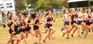 Tiger XC aims for state