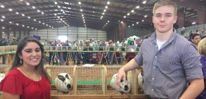 HCISD students show off at annual expo
