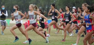 Tiger girls cross country fights for gold at state