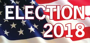 Hays County Election Results 2018