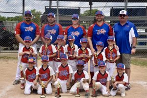 Local Little League team goes to World Series