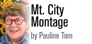 Stormwater fee may be in Mountain City’s future
