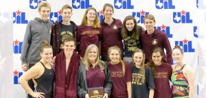 Tiger swimmers excel at the state meet