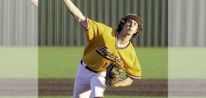 Dripping Springs Selections to  the 25-5A All-District Baseball Team