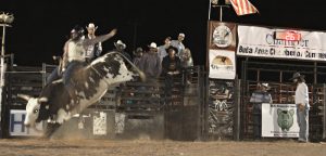 Maybe this is not your first rodeo, but it was Buda’s