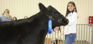 Hays County Youth  Livestock Show 2020