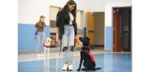Paws-itive: Wimberley canines pass final exams