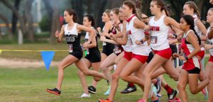 Runners excel at Hays XC Invitational