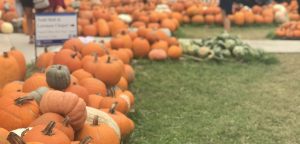 Kyle hosts several Halloween activities through October