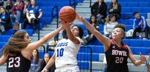 Lady Lobo hoops take fifth in district after loss to Bowie