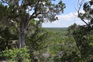 Purgatory Creek Nature Preserve to be conserved