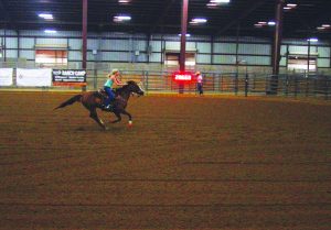 12th Annual Dripping Springs Fair and Rodeo