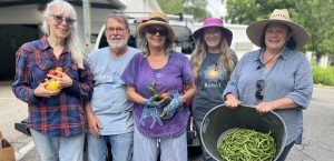 Hays County food bank hosts harvest challenge to feed families
