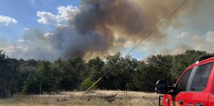Vineyard Hill fire burns 50 acres