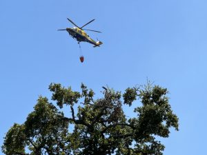 UPDATED: Wildfire burns more than 40 acres in Buda