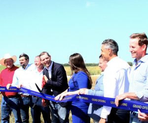 Hays County celebrates opening of new RM 967/Robert S. Light Boulevard project