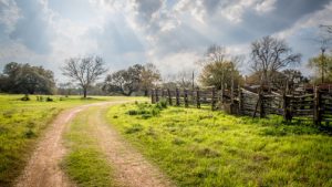 Nature as Infrastructure: A legacy for the future