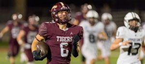 Tigers drop season opener at home