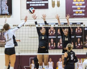 Dripping Springs Tigers volleyball sweeps Johnson Jaguars