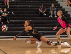 Johnson Jaguars volleyball falthers against the Austin High School Maroons