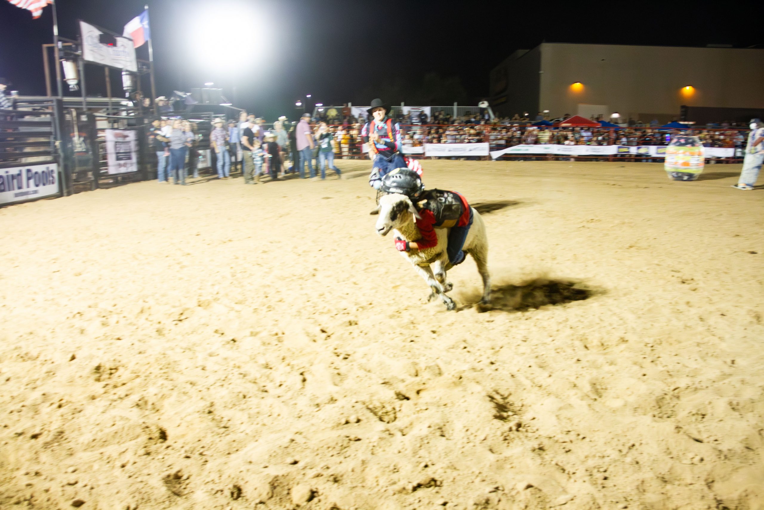 The bulls are back at Buda Rodeo and Fajita Fiesta