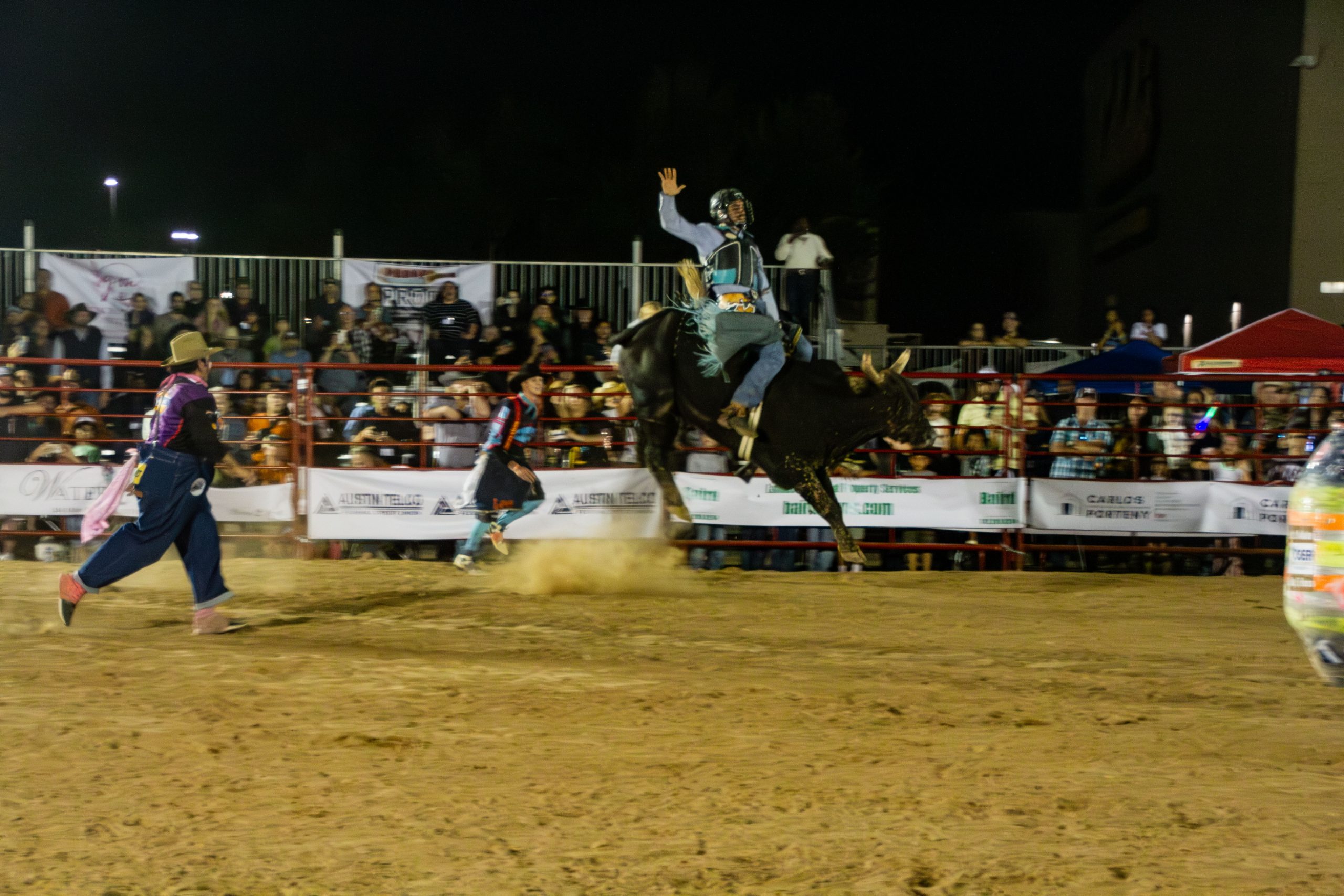 The bulls are back at Buda Rodeo and Fajita Fiesta