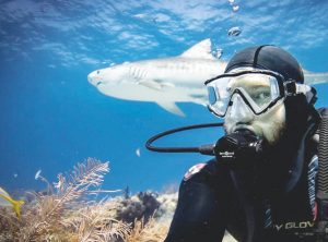 Local shark enthusiast publishes children’s book